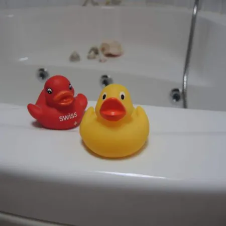 Skandinavisches In *